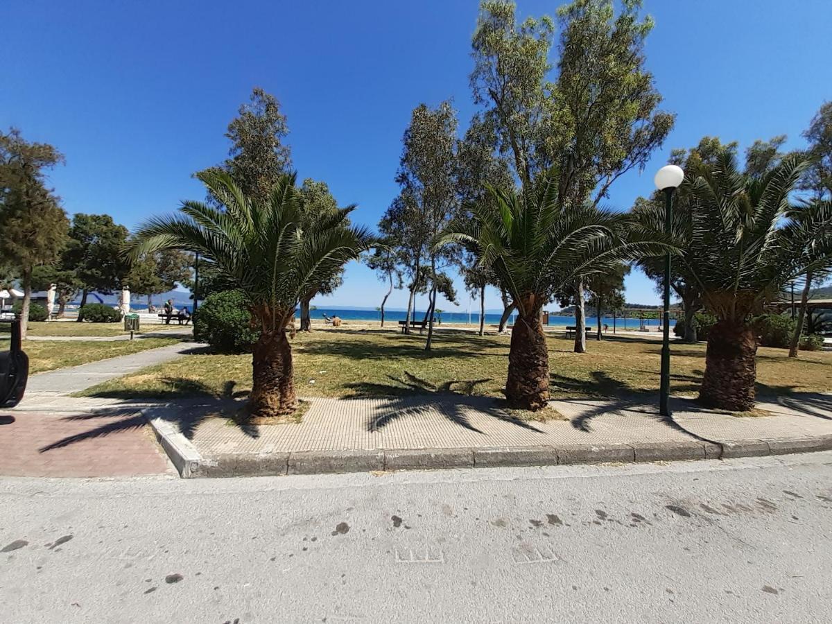 Villa Malena Alykes Beach Volos Eksteriør bilde