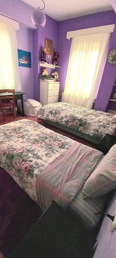 Villa Malena Alykes Beach Volos Eksteriør bilde